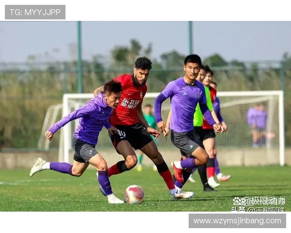 恩迪亚耶加盟佛山南狮挪超旧将